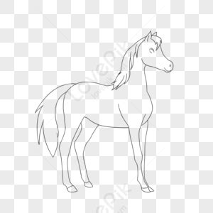 Kabayo Clipart Itim At Puti Matangkad Kabayo,itim At Puti,sketch .